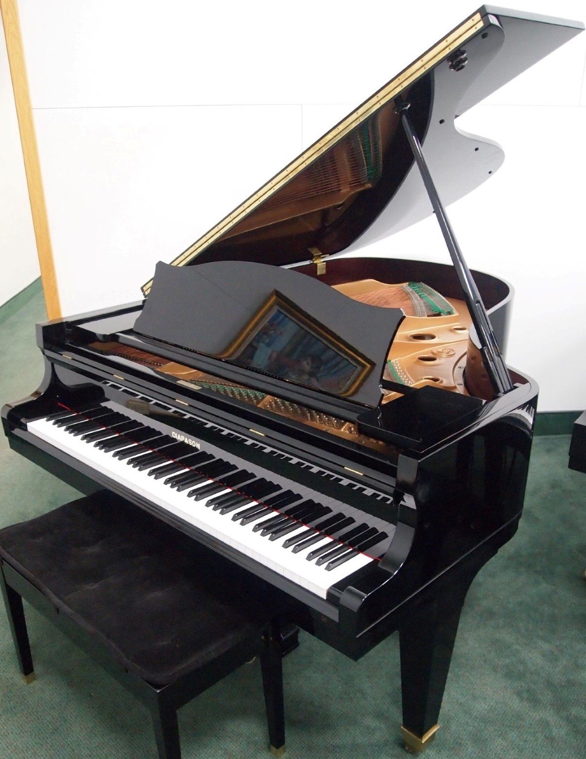 Detail Grand Piano Pic Nomer 46