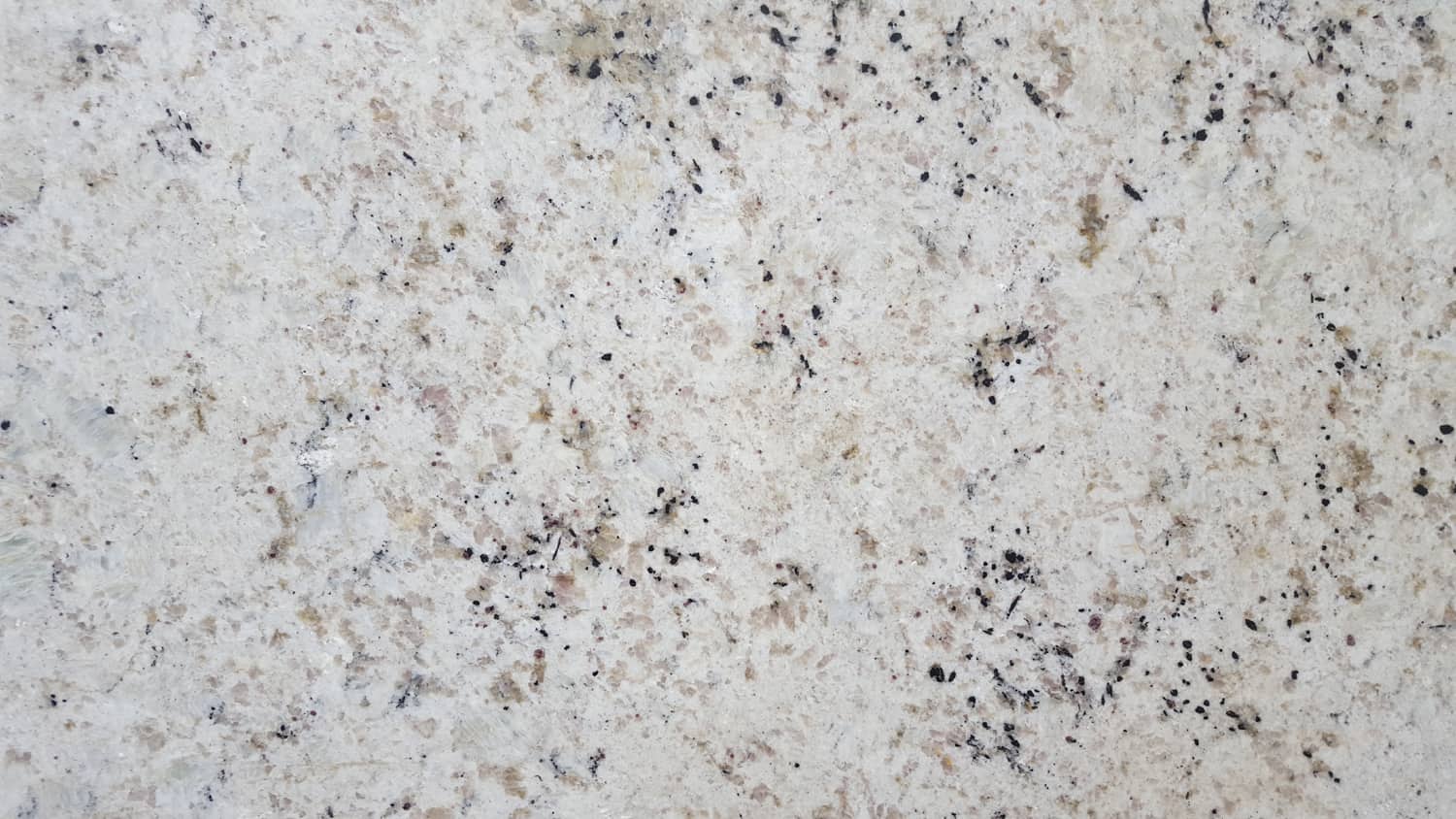 Detail Granite White Texture Nomer 27