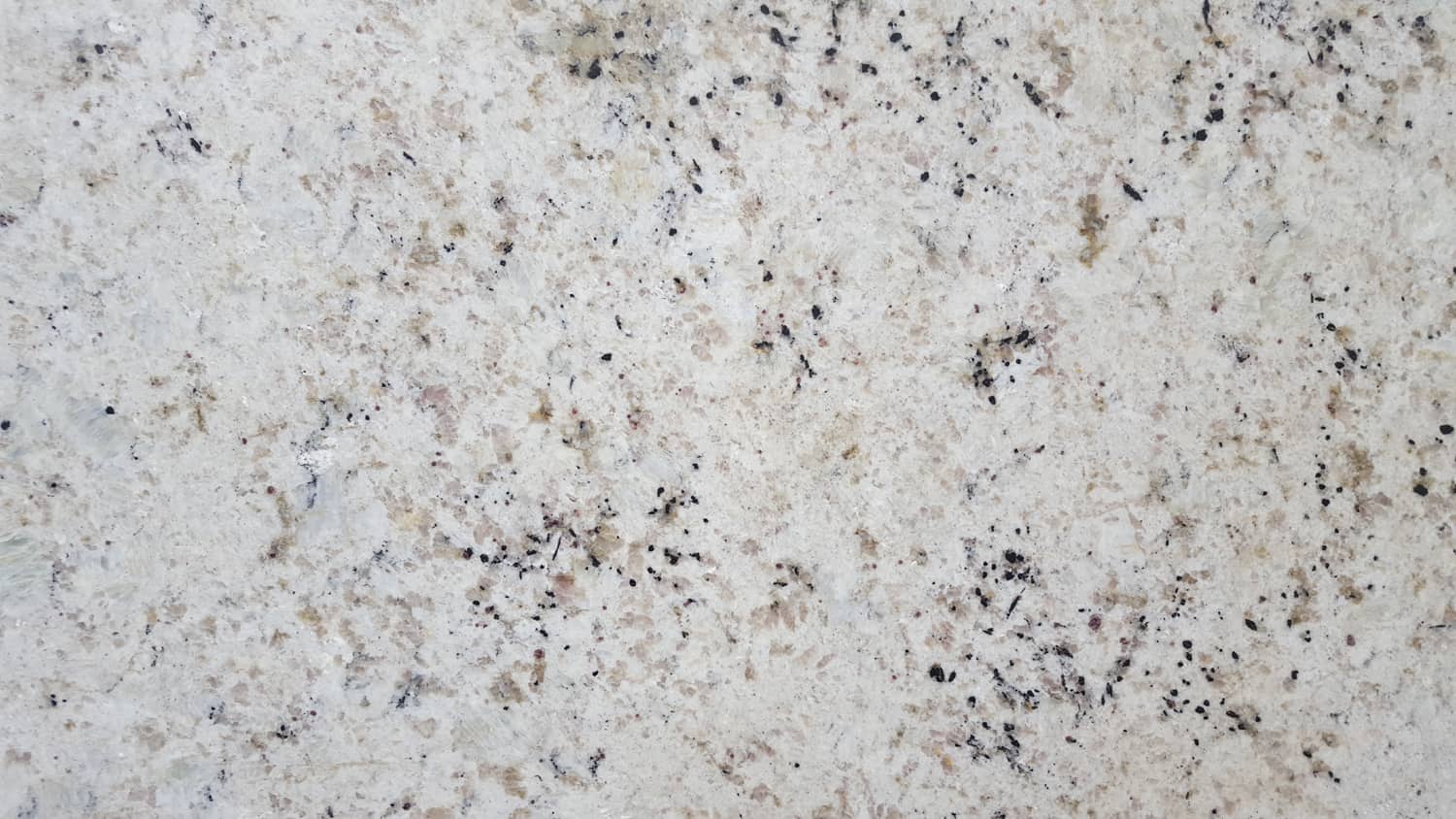 Detail Granite White Texture Nomer 27