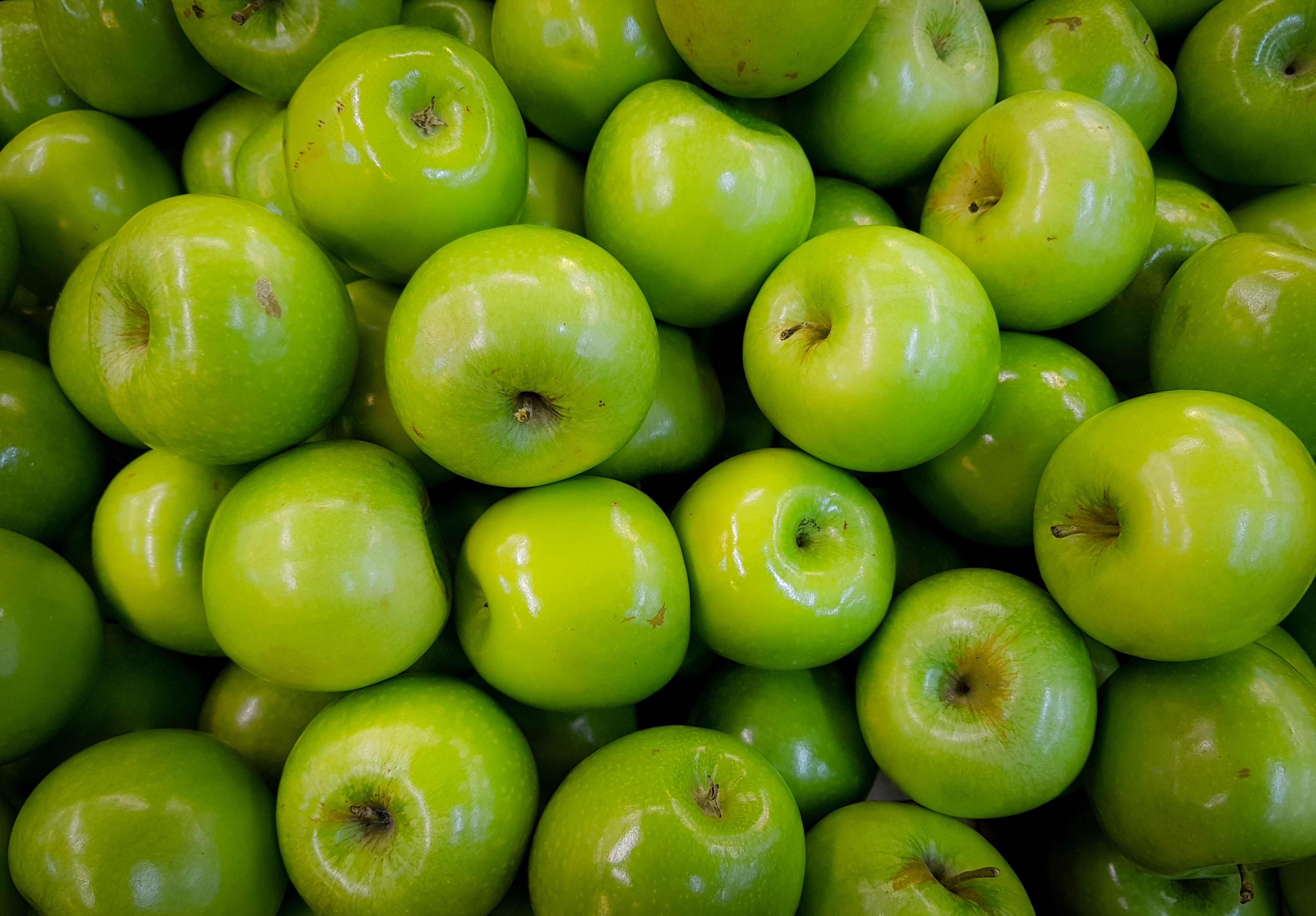 Detail Granny Smith Gratis Nomer 18