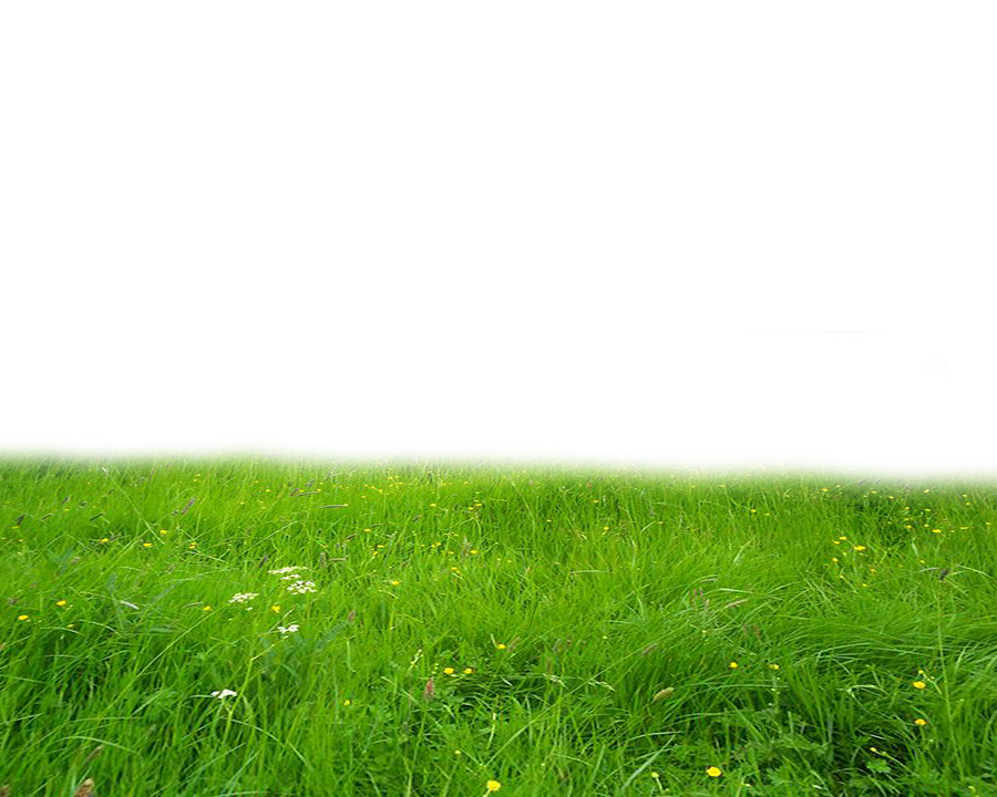 Gras Png - KibrisPDR