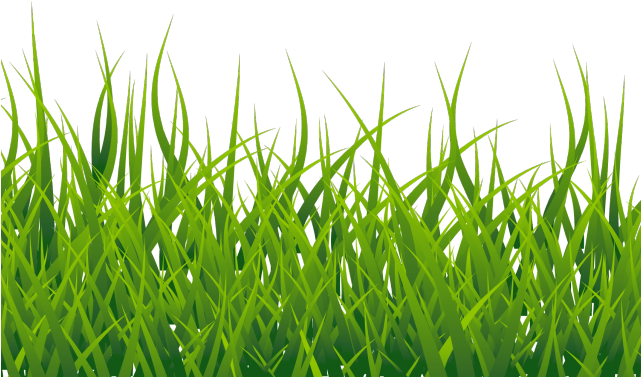 Detail Gras Png Nomer 11