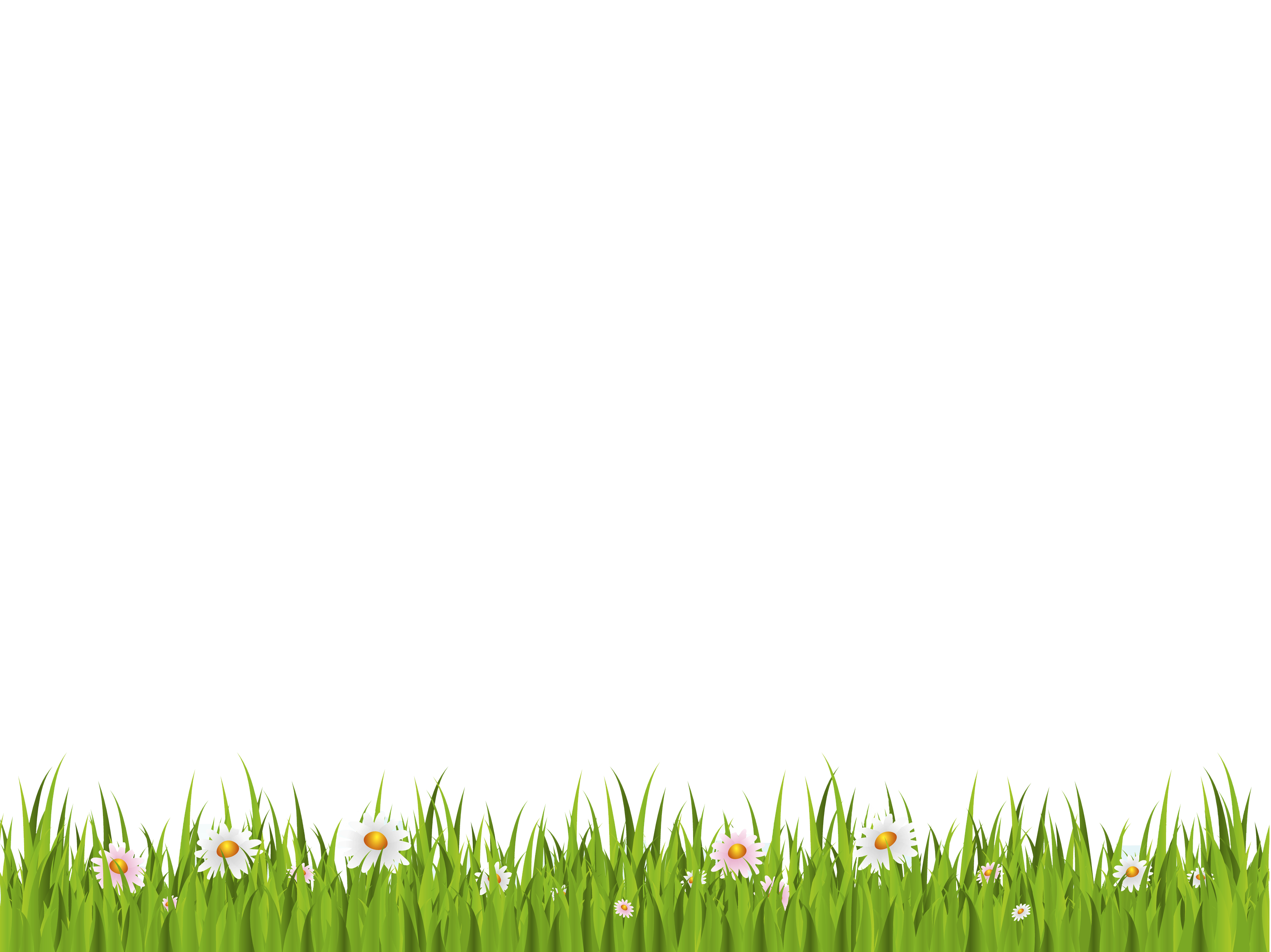 Detail Gras Png Nomer 12
