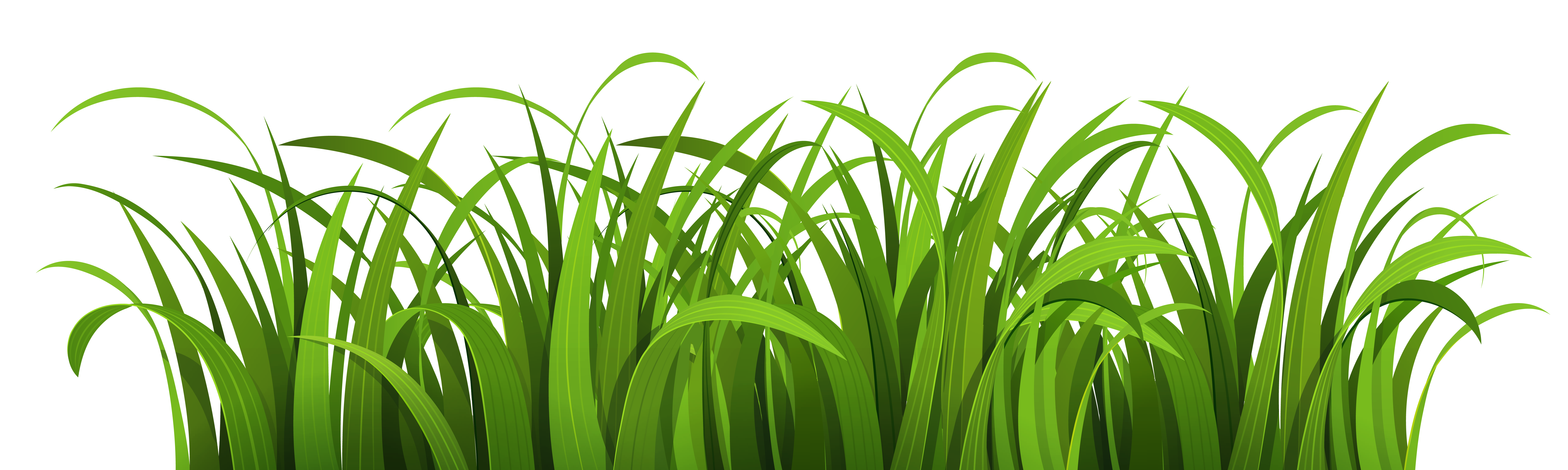 Detail Gras Png Nomer 21