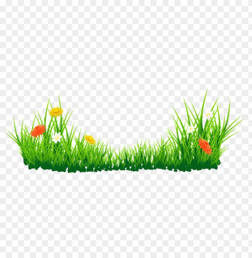 Detail Gras Png Nomer 24