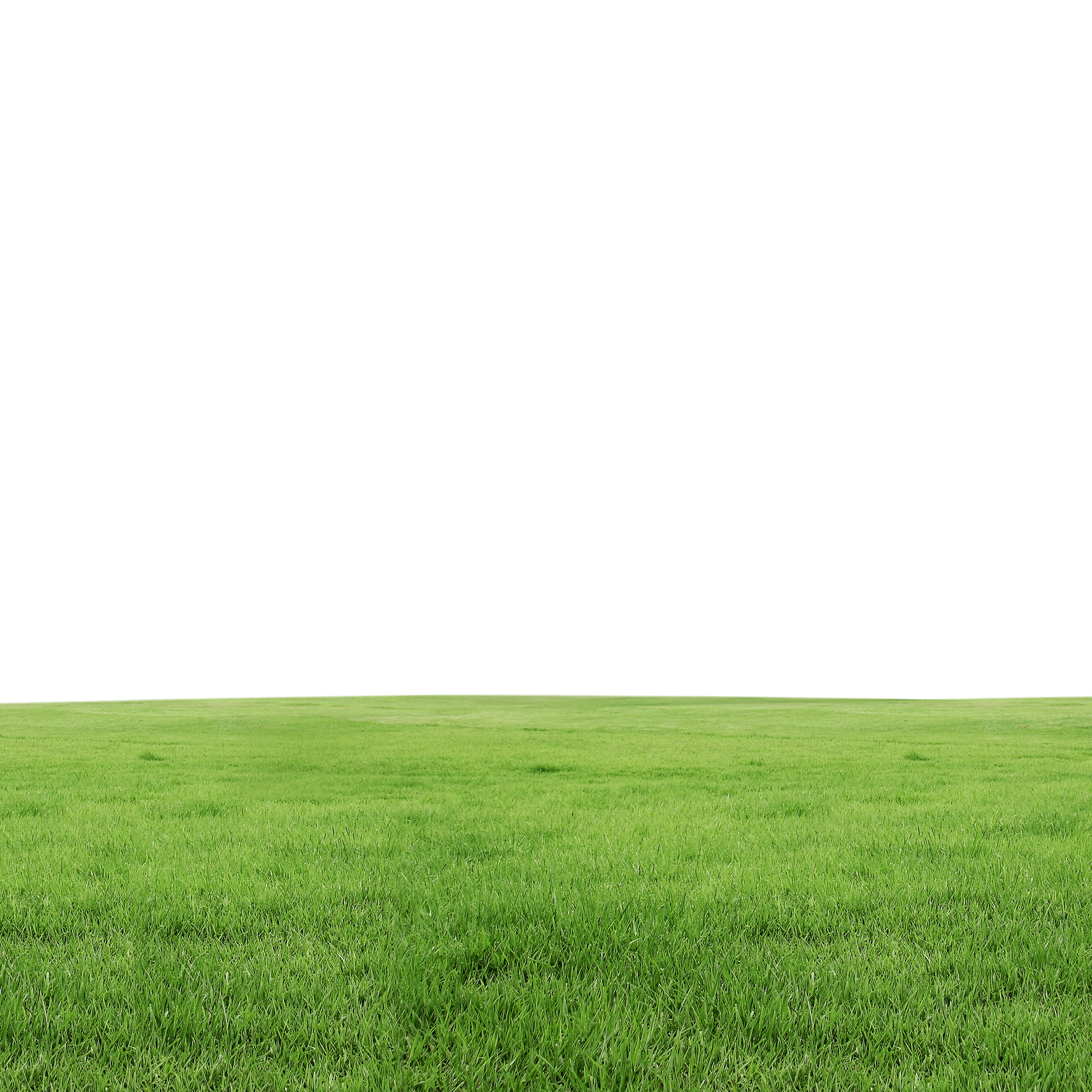 Detail Gras Png Nomer 27