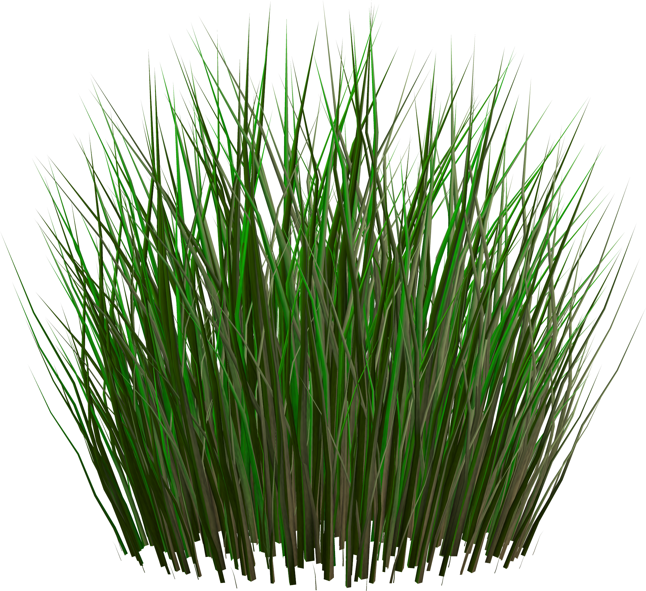 Detail Gras Png Nomer 3