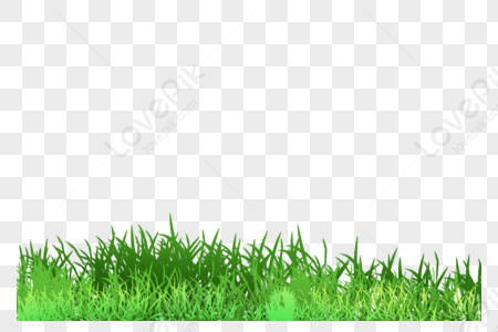 Detail Gras Png Nomer 29