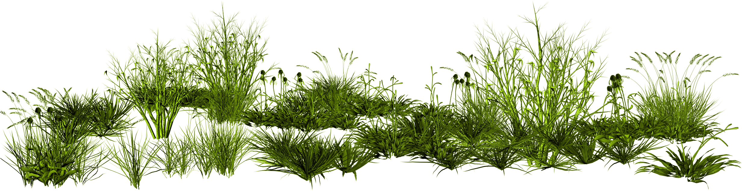 Detail Gras Png Nomer 36