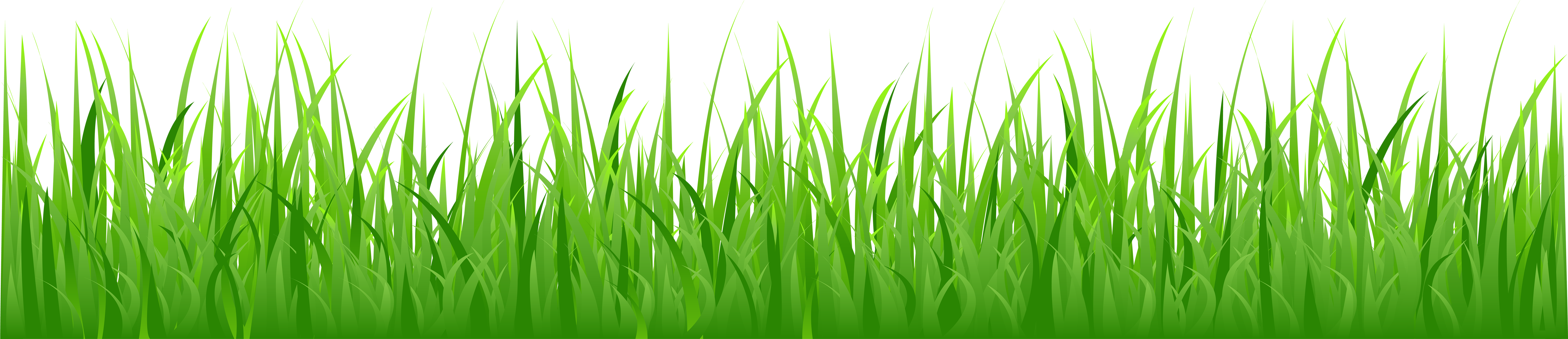 Detail Gras Png Nomer 40