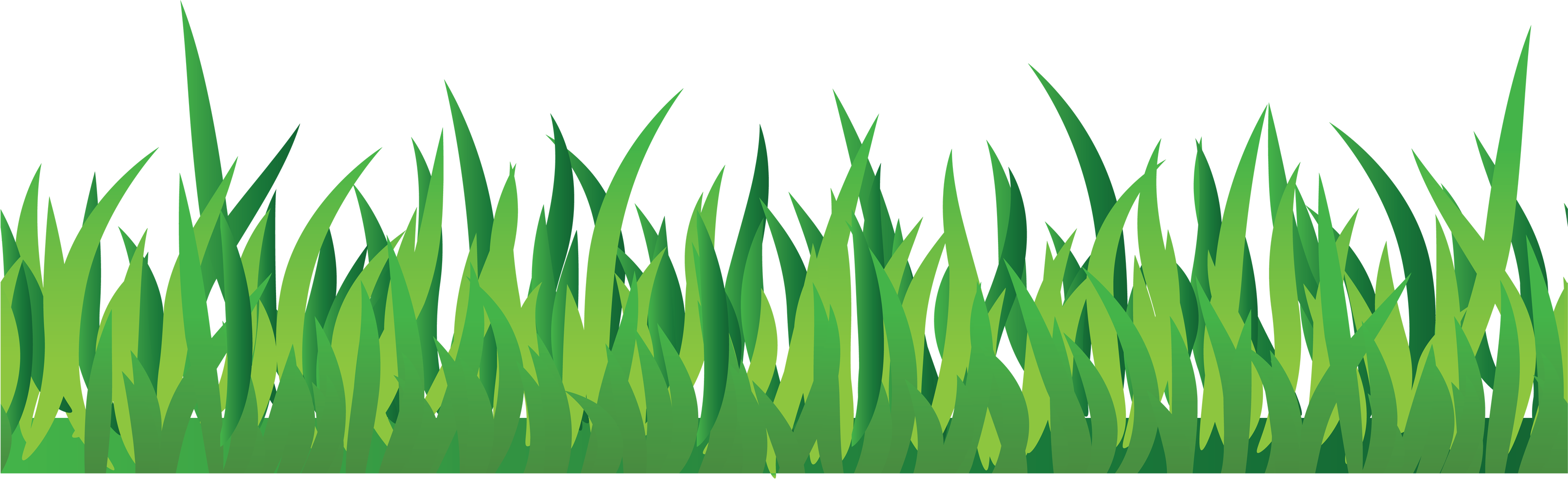 Detail Gras Png Nomer 44