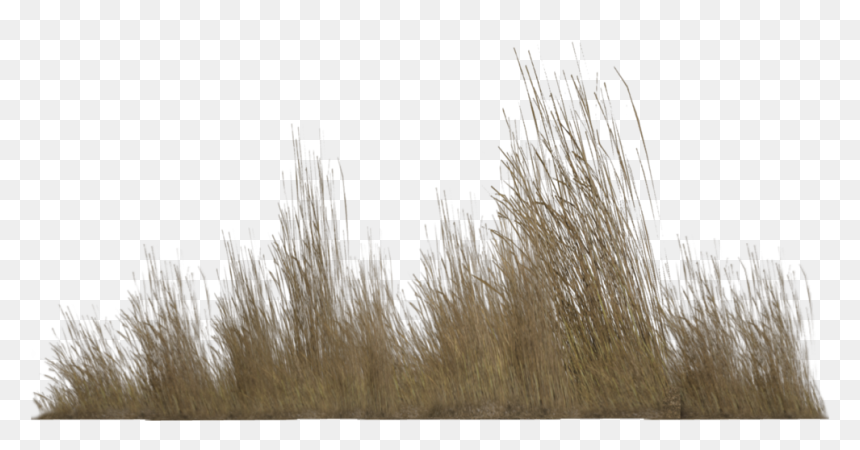 Detail Gras Png Nomer 52