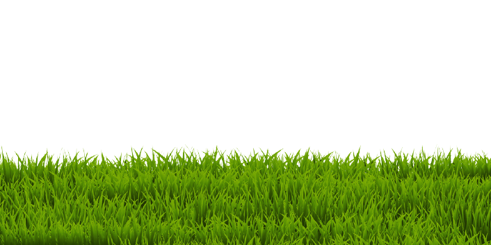 Detail Gras Png Nomer 8