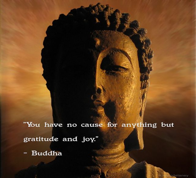 Detail Grateful Buddha Quotes Nomer 7