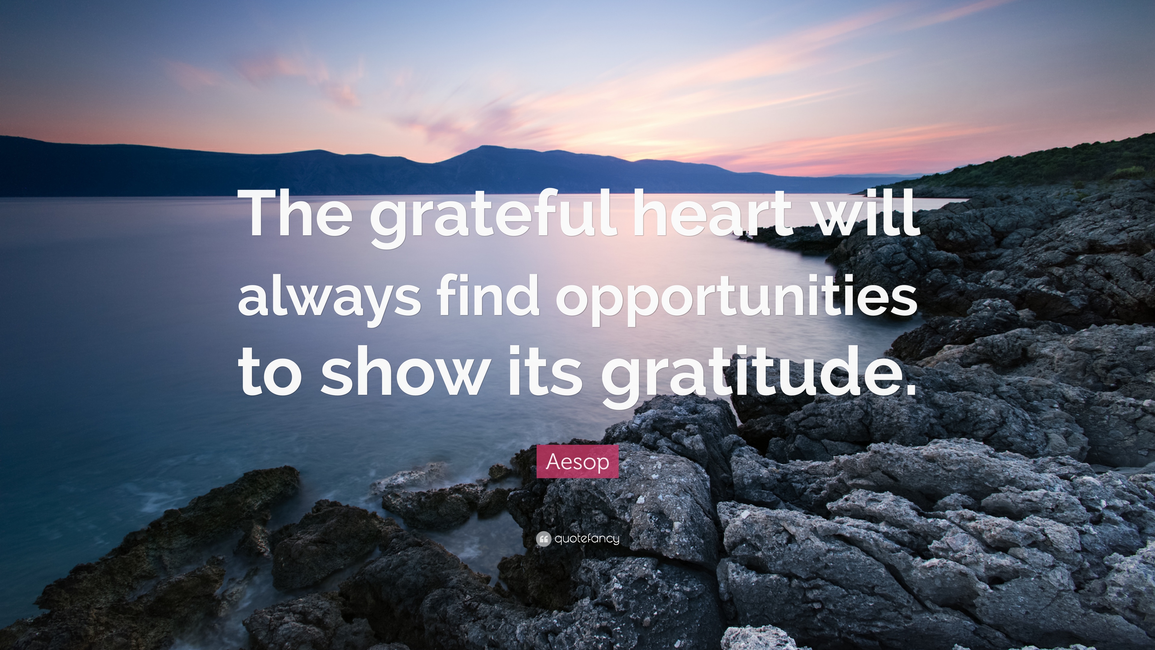 Detail Grateful Heart Quotes Nomer 39