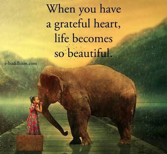 Detail Grateful Heart Quotes Images Nomer 34