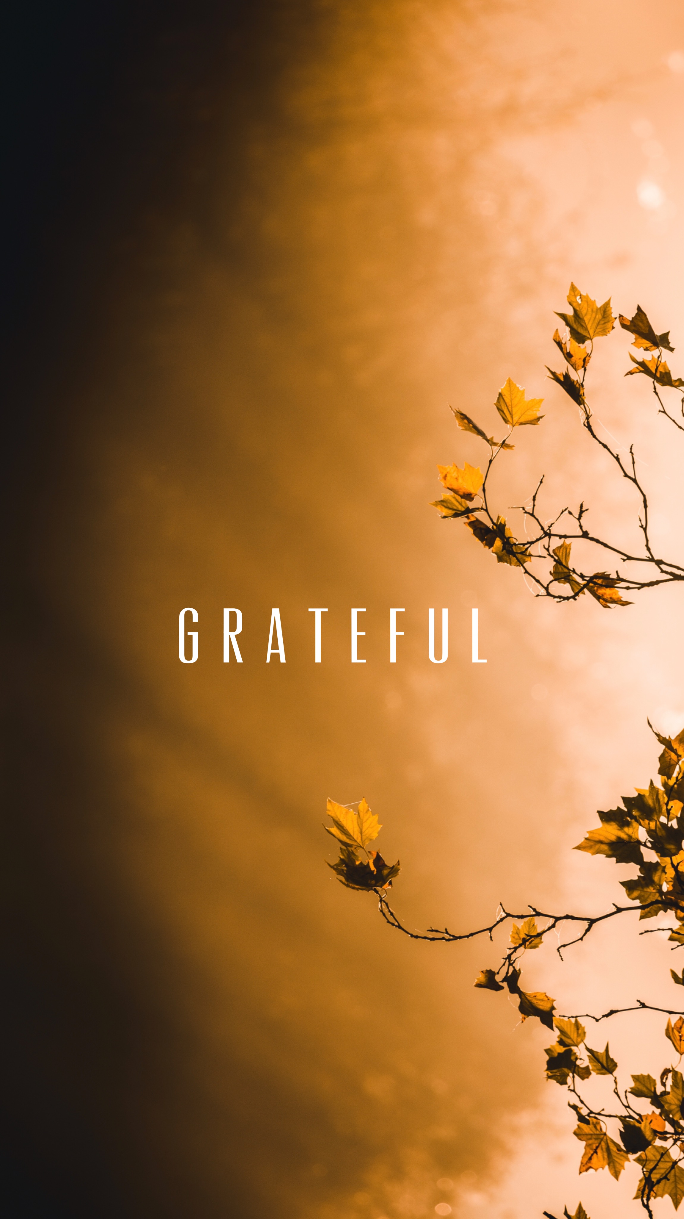 Detail Grateful Wallpaper Nomer 15