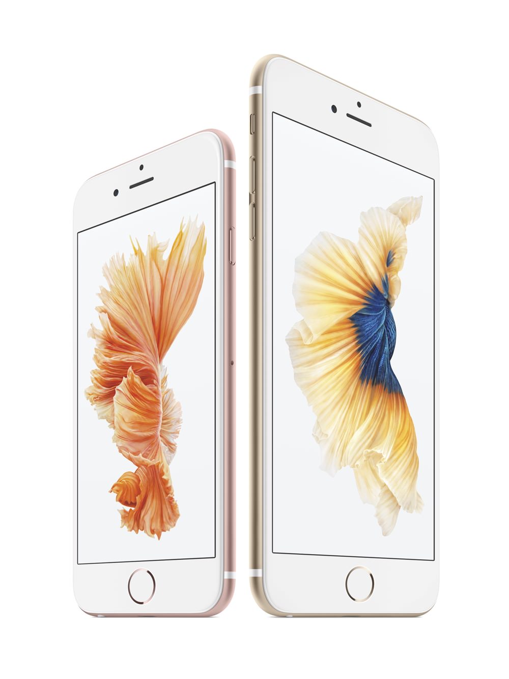 Detail Gratis Iphone 6 Plus Nomer 38