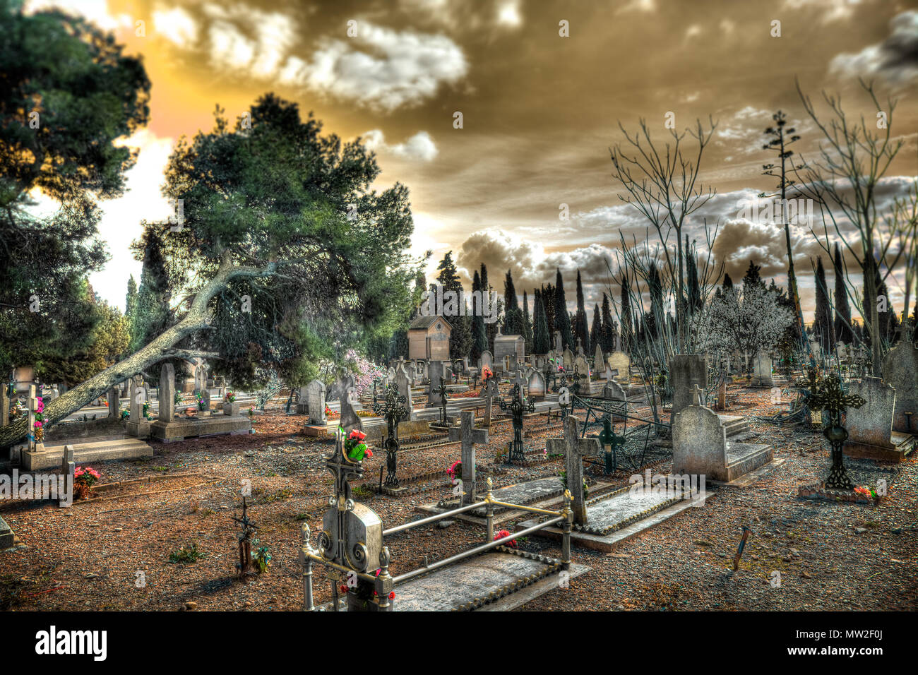Detail Gravestone Background Nomer 24