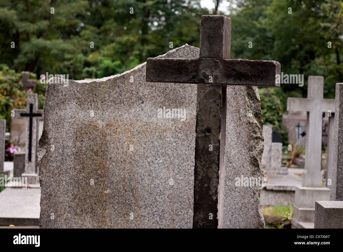 Detail Gravestone Background Nomer 37