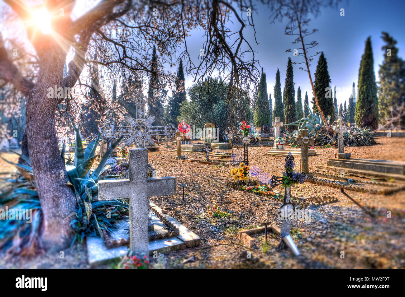 Detail Gravestone Background Nomer 44
