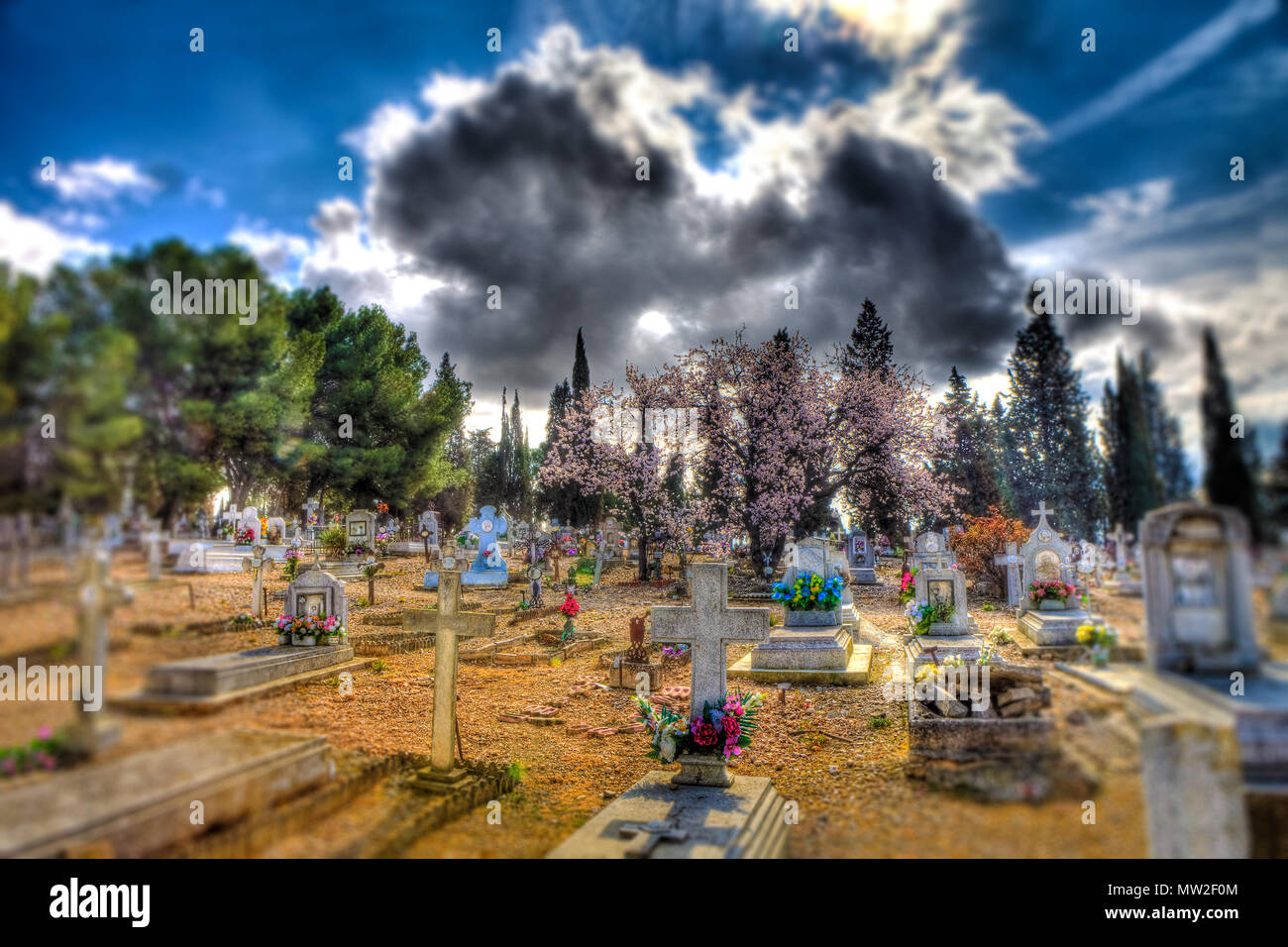 Detail Gravestone Background Nomer 50