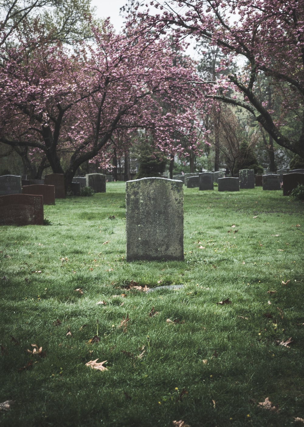 Detail Gravestone Image Nomer 35