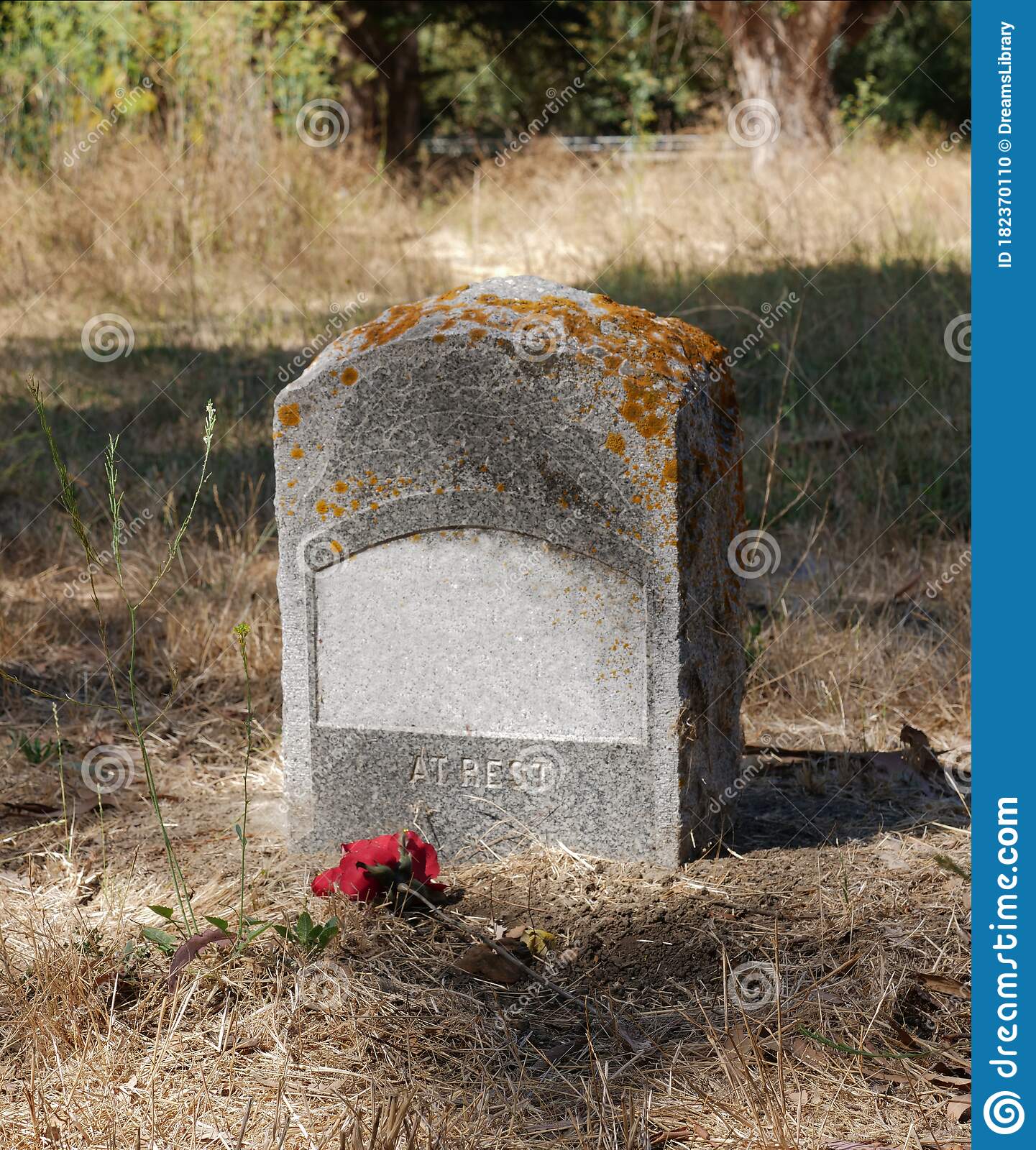 Detail Gravestone Stock Image Nomer 35