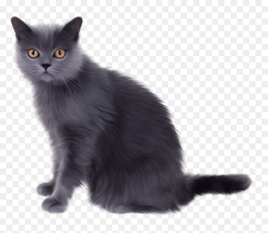Detail Gray Cat Png Nomer 4
