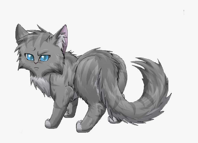 Detail Gray Cat Png Nomer 40