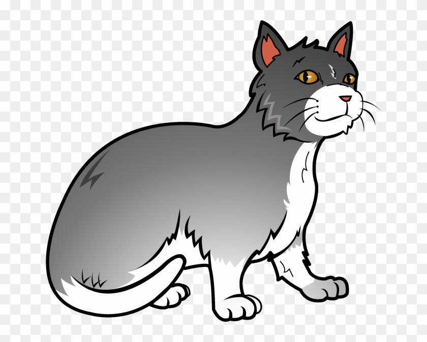 Detail Gray Cat Png Nomer 47