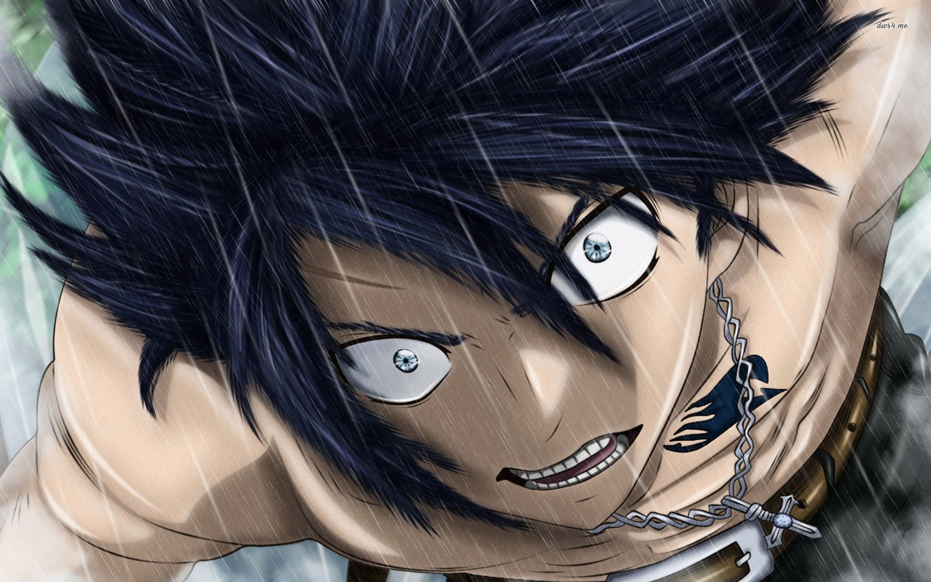 Detail Gray Fullbuster Wallpaper Nomer 38