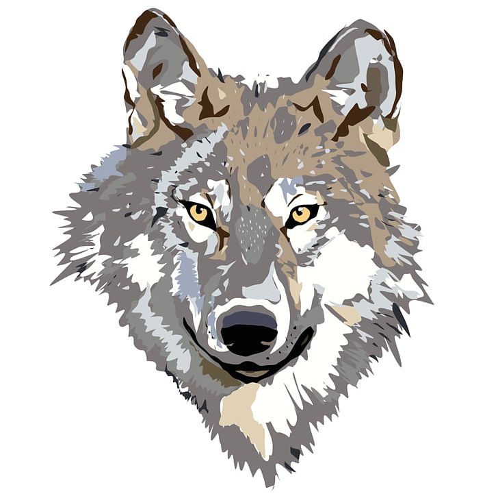 Detail Gray Wolf Png Nomer 22