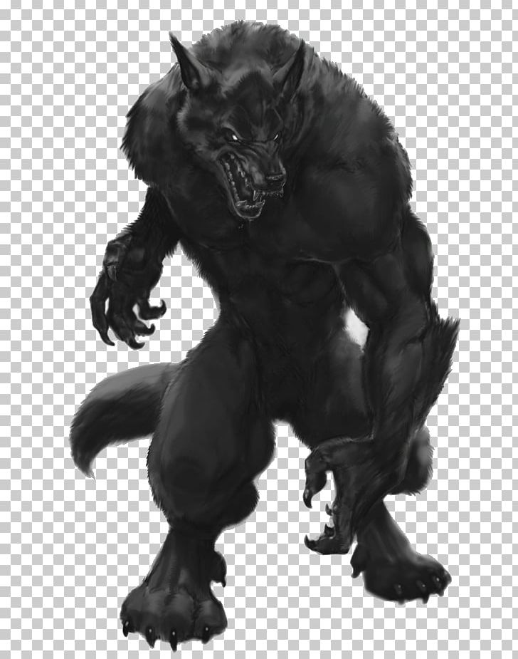 Detail Gray Wolf Png Nomer 36