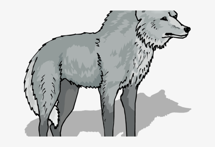 Detail Gray Wolf Png Nomer 41