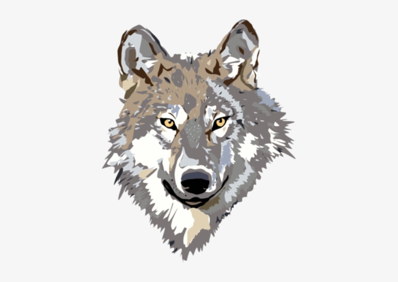 Detail Gray Wolf Png Nomer 47