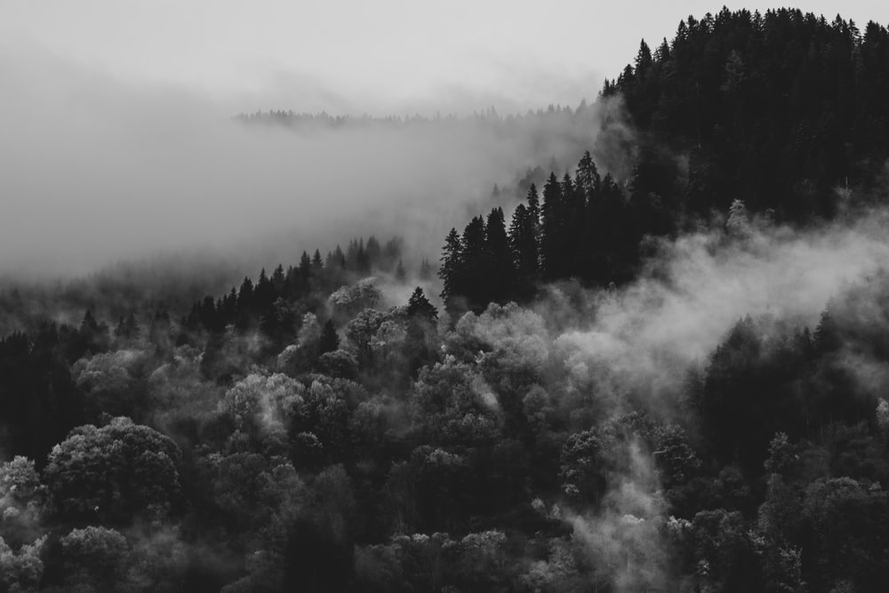 Detail Grayscale Wallpaper Nomer 36