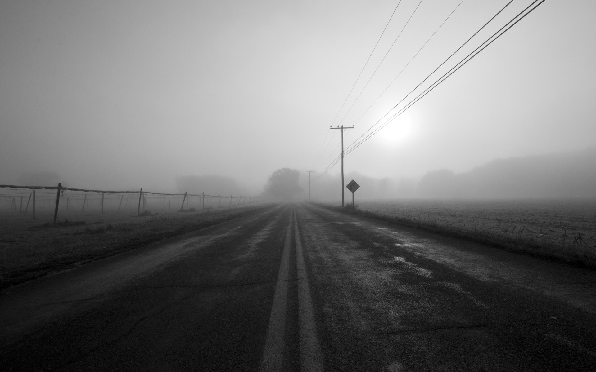 Detail Grayscale Wallpaper Hd Nomer 9