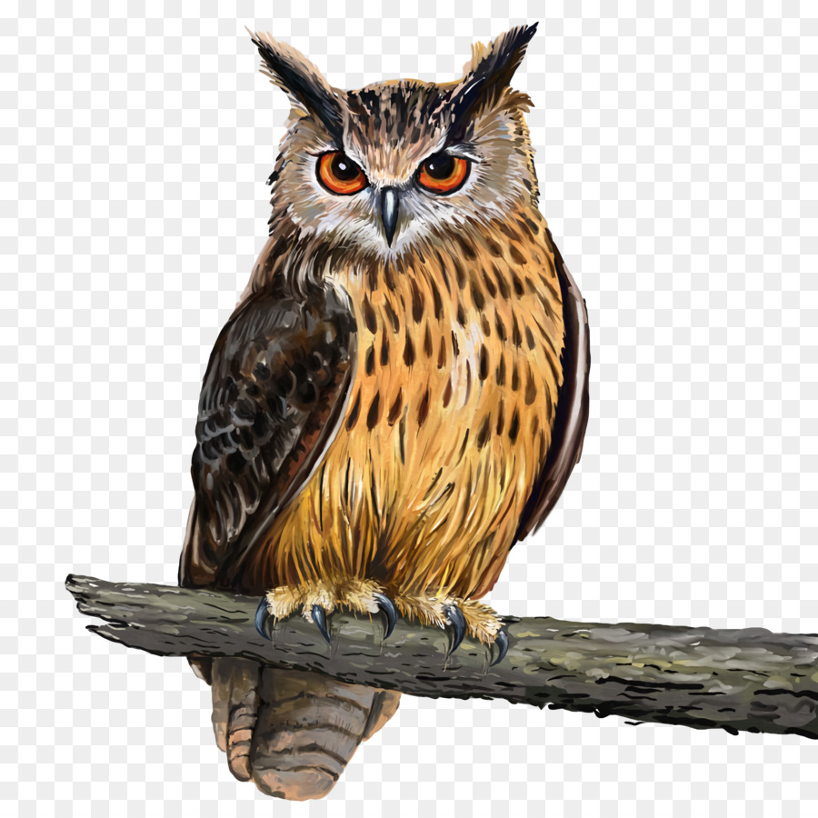 Detail Great Horned Owl Png Nomer 18