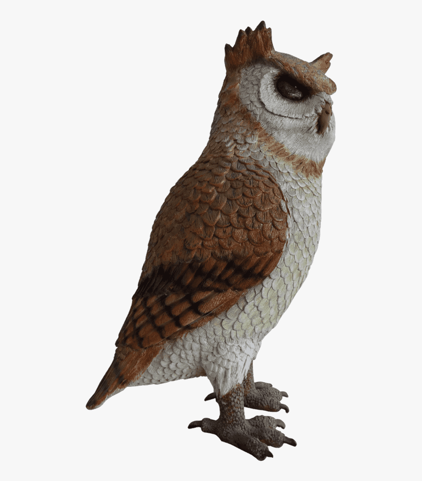 Detail Great Horned Owl Png Nomer 26