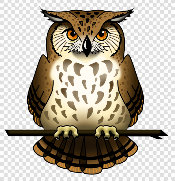 Detail Great Horned Owl Png Nomer 44