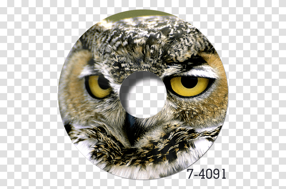 Detail Great Horned Owl Png Nomer 47