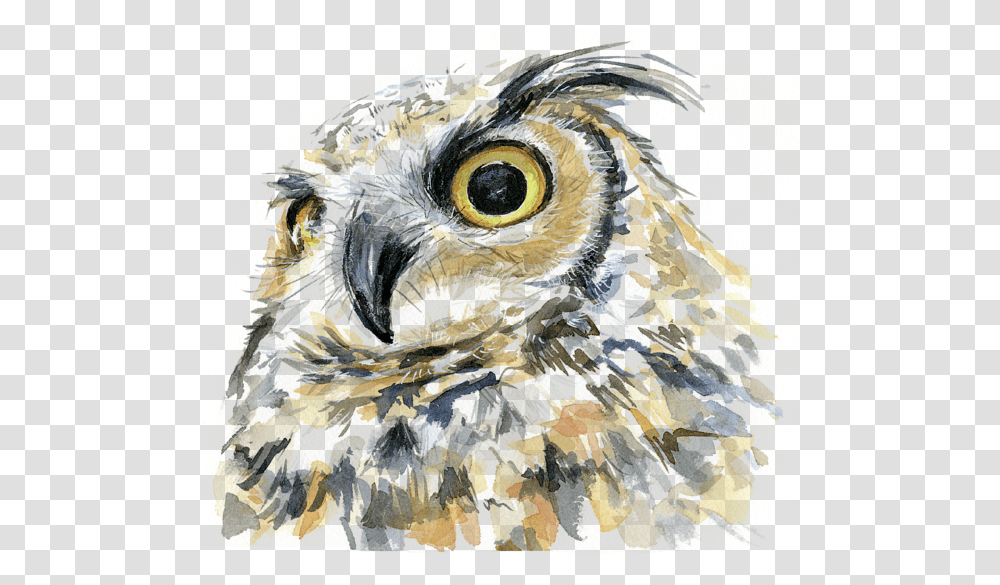 Detail Great Horned Owl Png Nomer 49