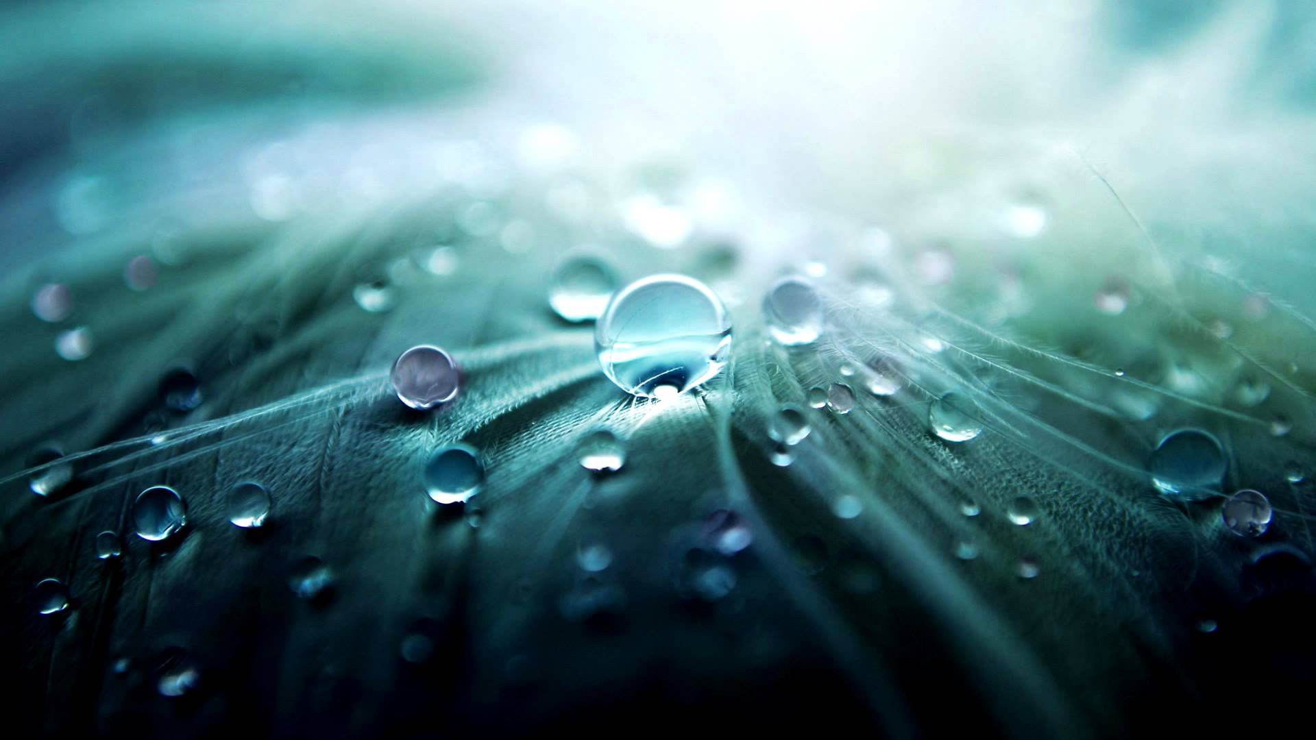 Detail Great Wallpaper Hd Nomer 3