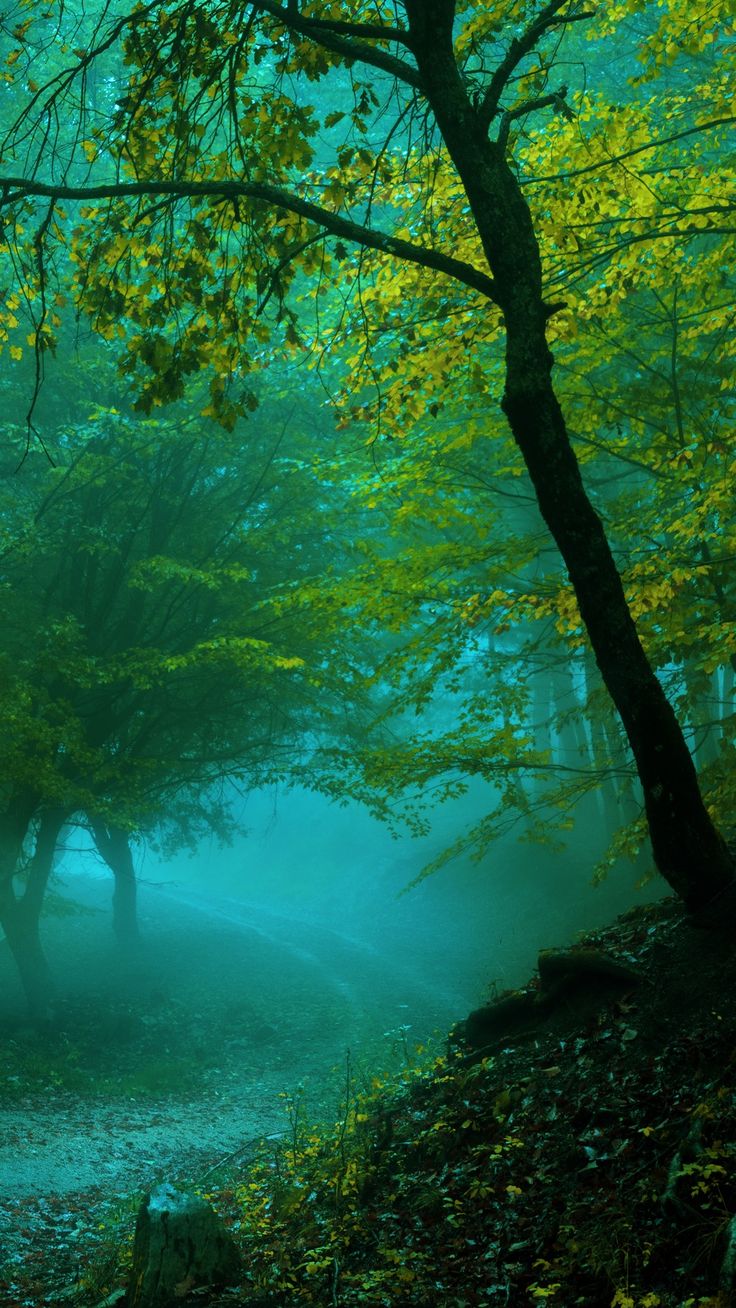 Detail Great Wallpaper Hd Nomer 38