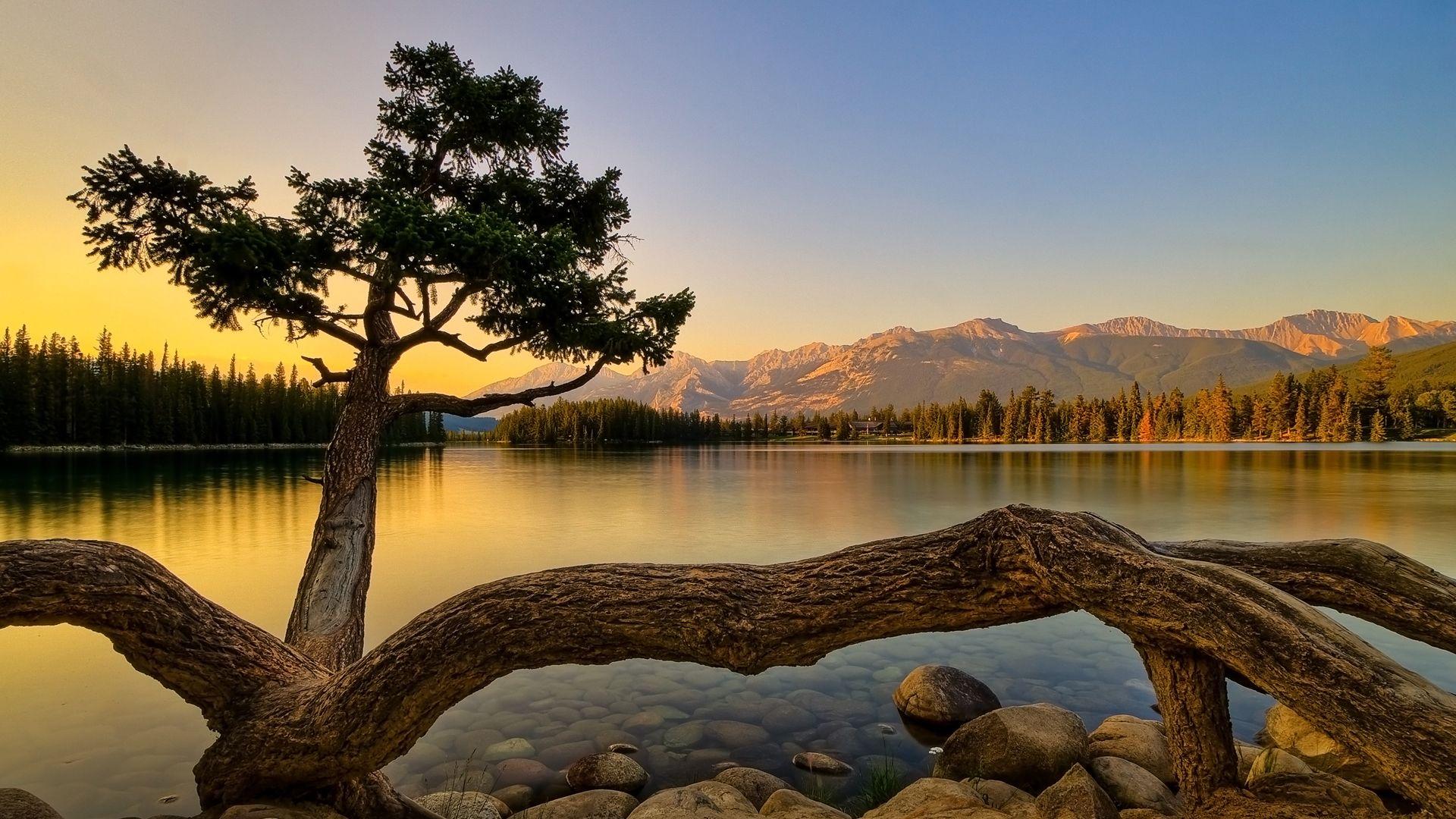 Detail Great Wallpaper Hd Nomer 41
