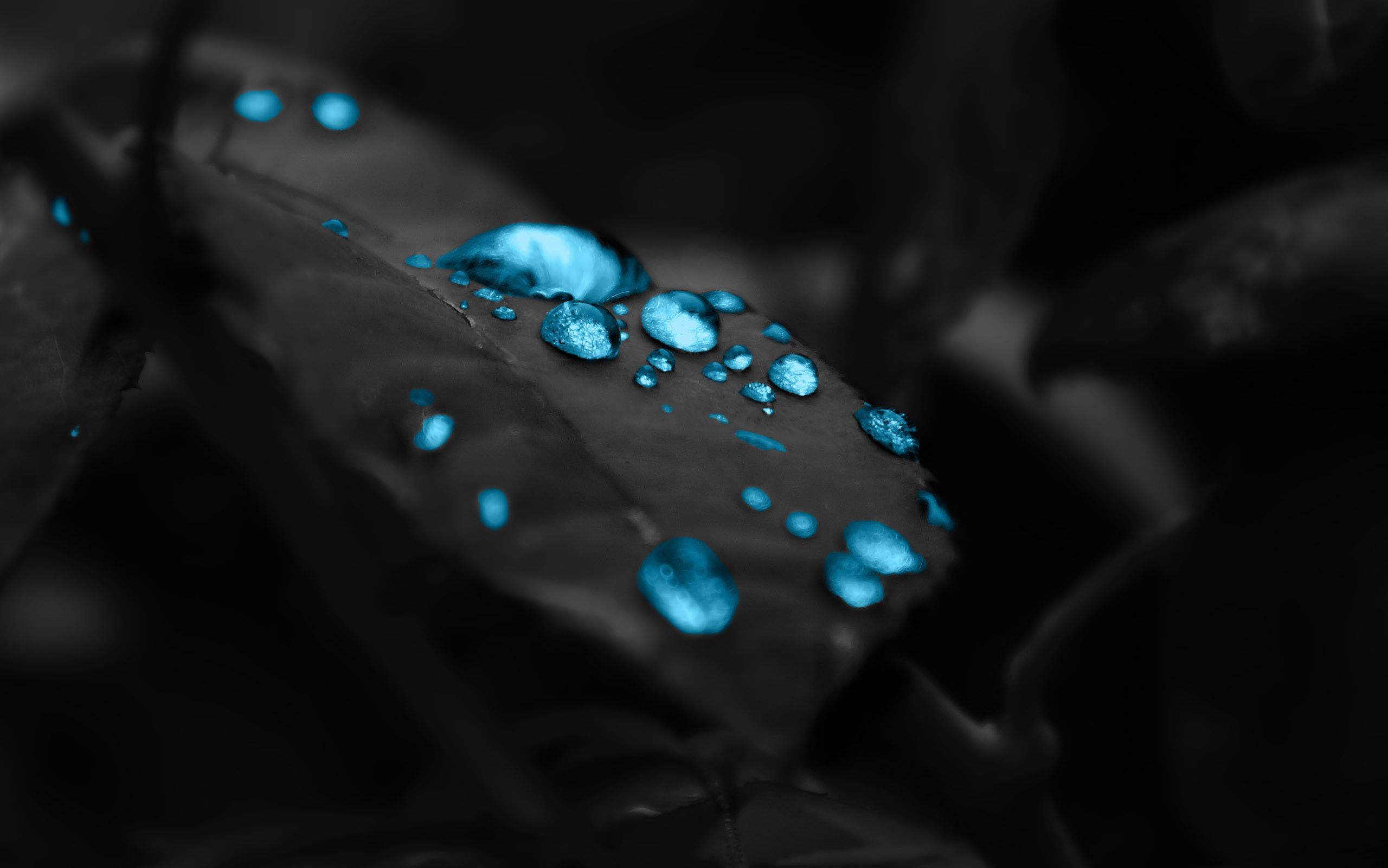 Detail Great Wallpapers Hd Nomer 25