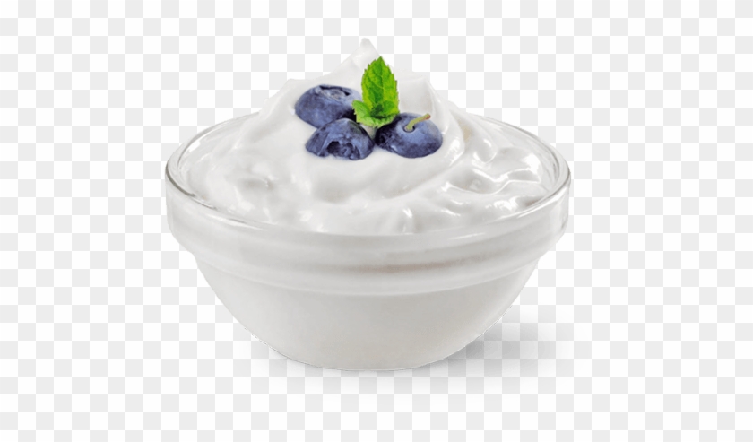 Detail Greek Yogurt Png Nomer 2