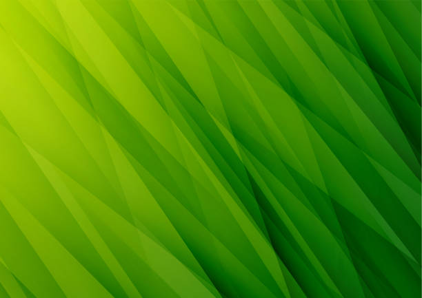 Detail Green Abstract Background Nomer 23