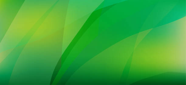 Detail Green Abstrak Nomer 56
